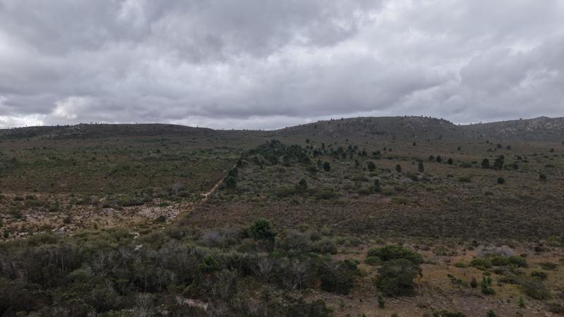 1 Bedroom Property for Sale in Albertinia Western Cape